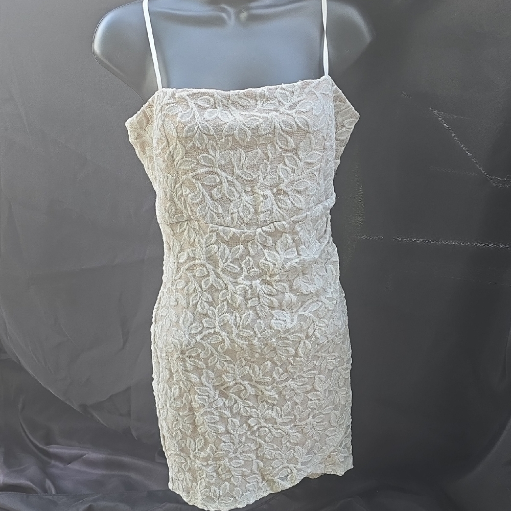 Windsor Elegant Cream Lace Dress Size Large